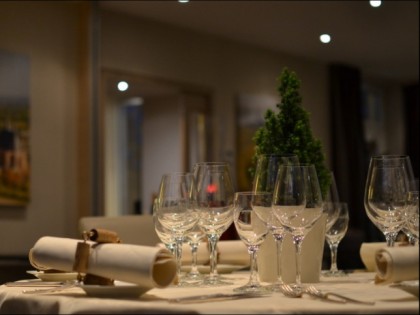 照片: Rheinhotel Nierstein